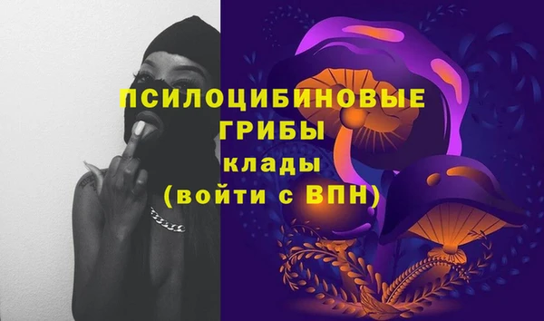не бодяженный Бородино