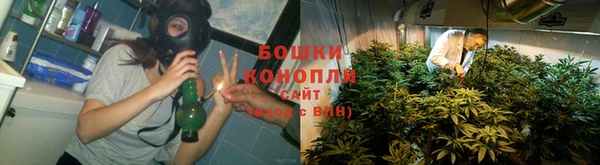 не бодяженный Бородино