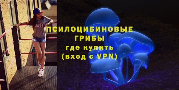 не бодяженный Бородино