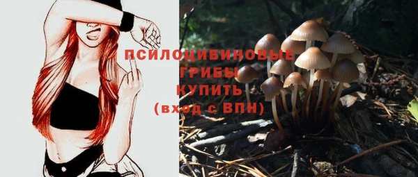 ECSTASY Бугульма